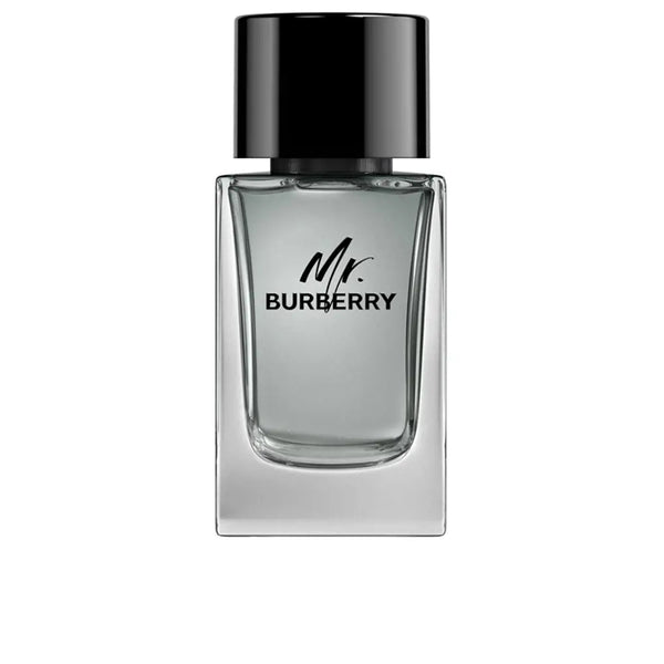عطر مستر بربري للرجال، أو دو تواليت، 100 مل