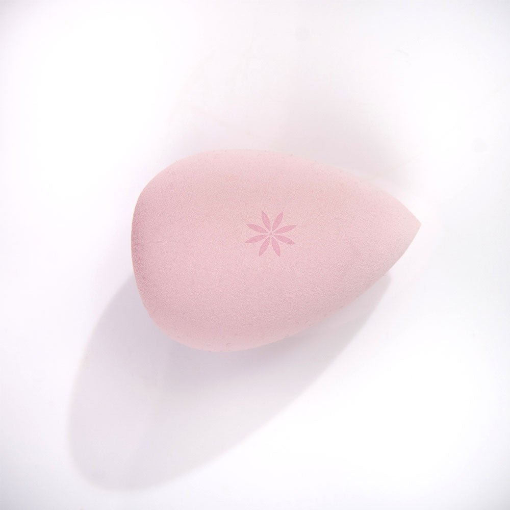 Brushworks-complexion Sponge