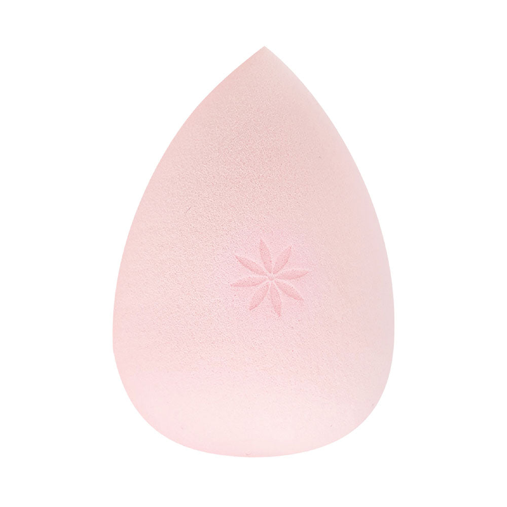 Brushworks-complexion Sponge