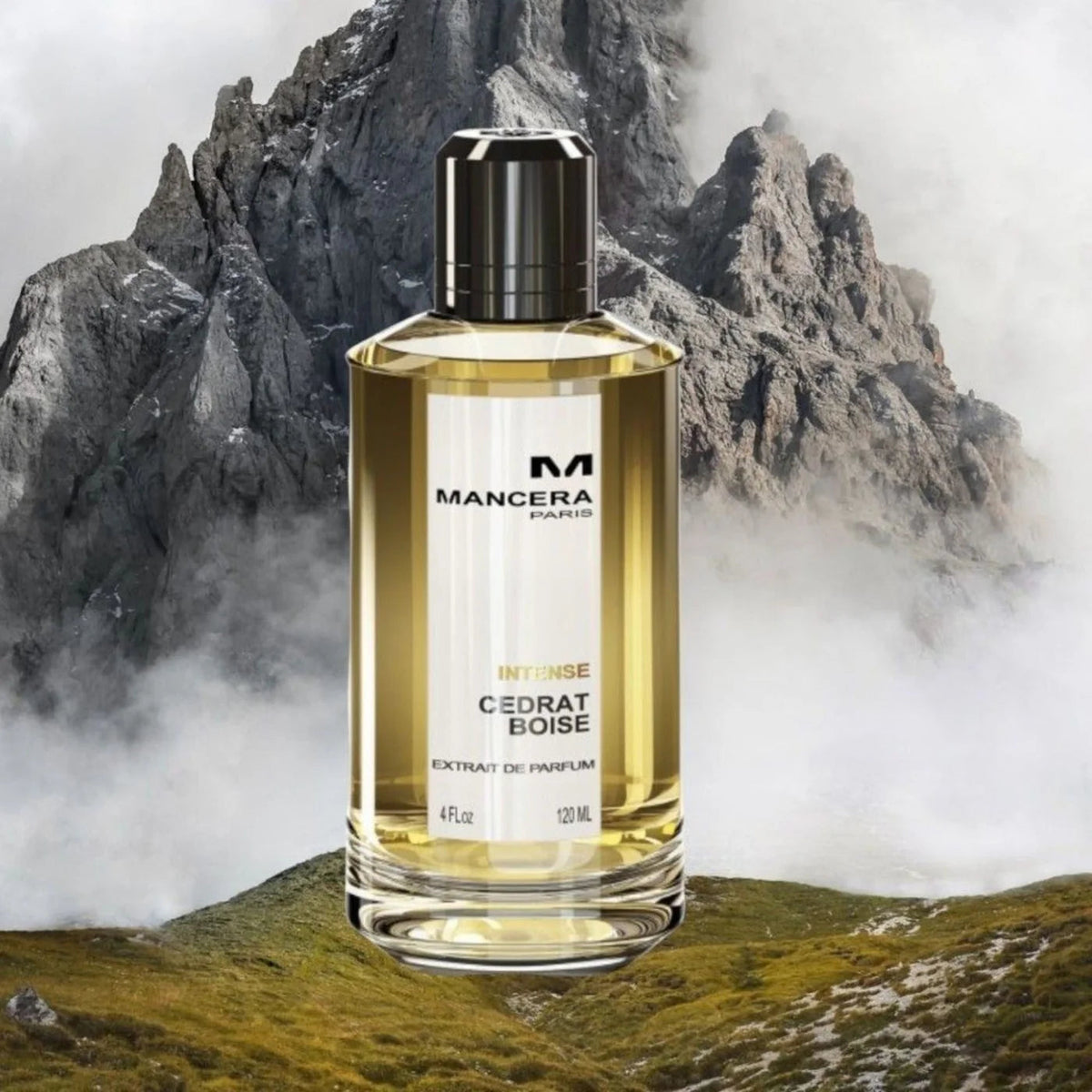 Mancera Intense Cedrat Boise Extrait de Parfum for Unisex 120ml
