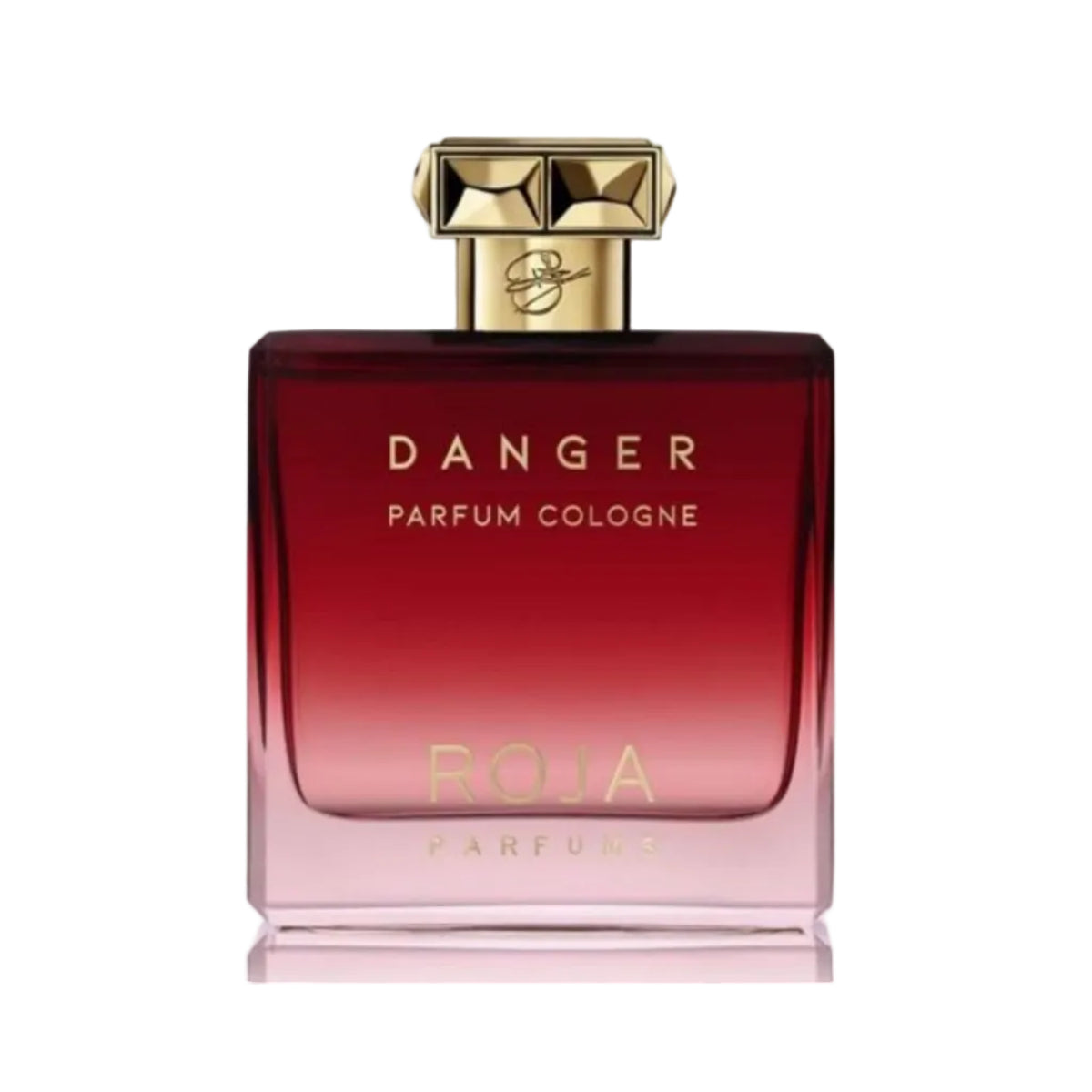 Roja Parfums Danger For Men Parfum Cologne 100ML